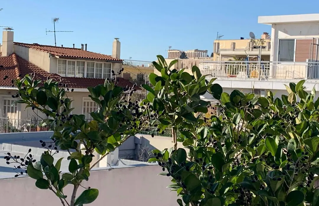 Athens View Loft 07&08-1